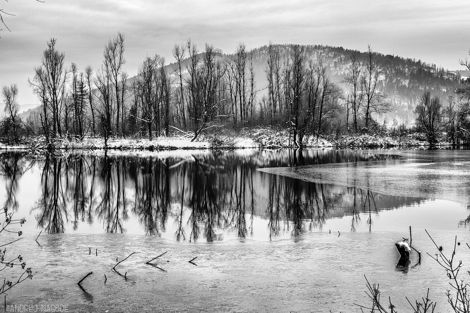 Winter Ponds II