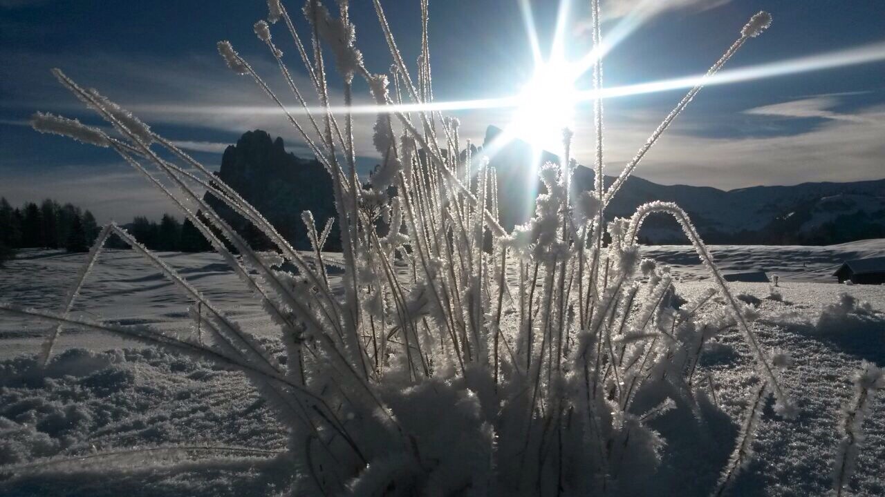 winter power, dolomites