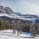 Winter pur in Südtirol