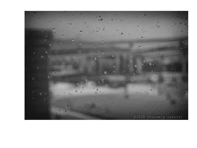 Winter Rain 2