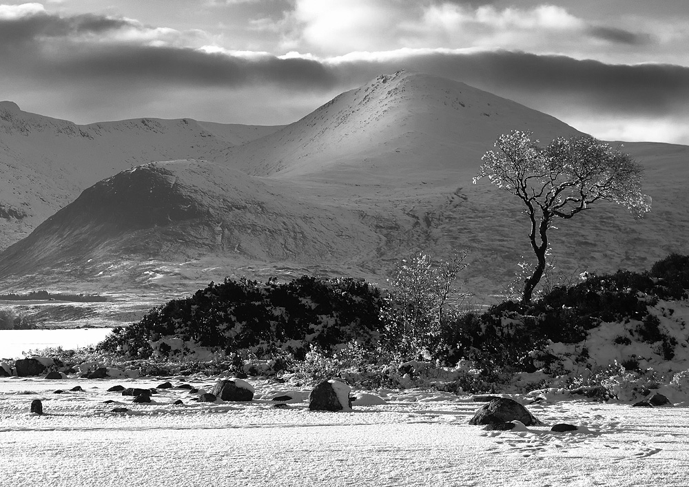 Winter Rannoch Moor S/W