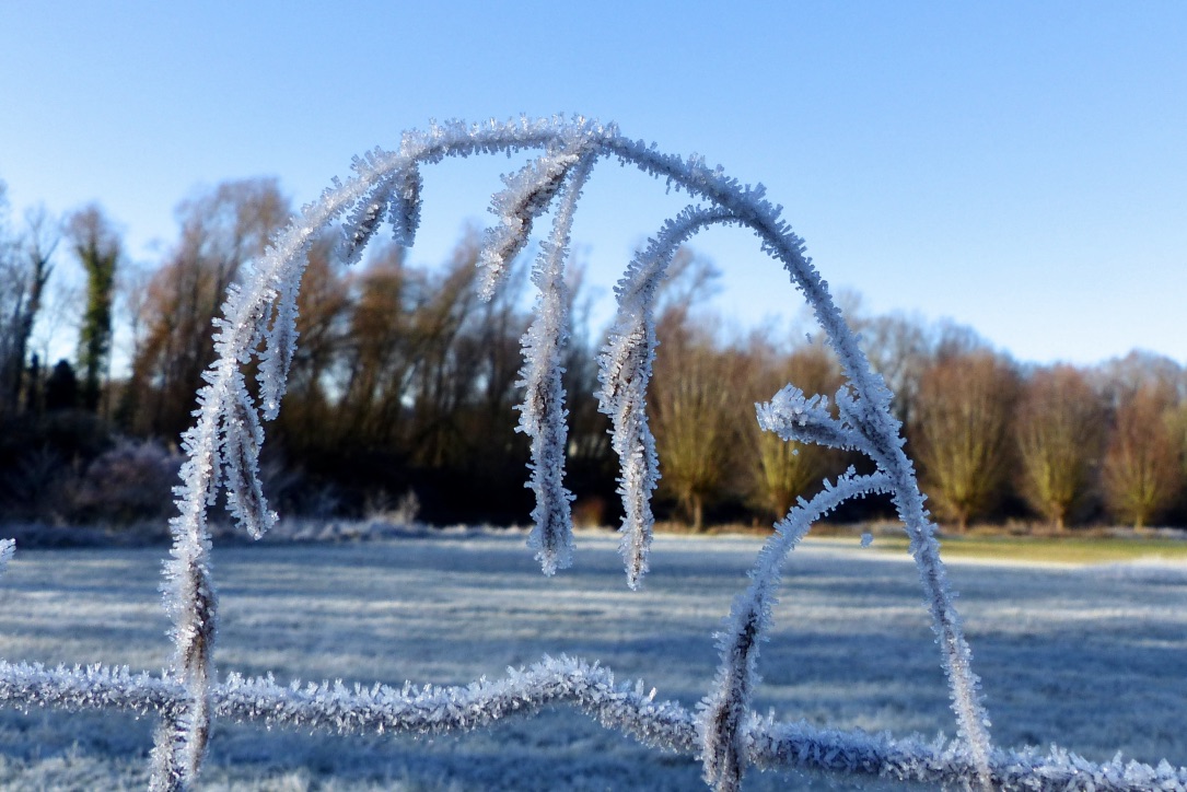 WINTER - Raureif verändert alles