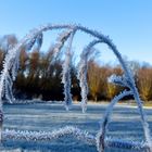 WINTER - Raureif verändert alles