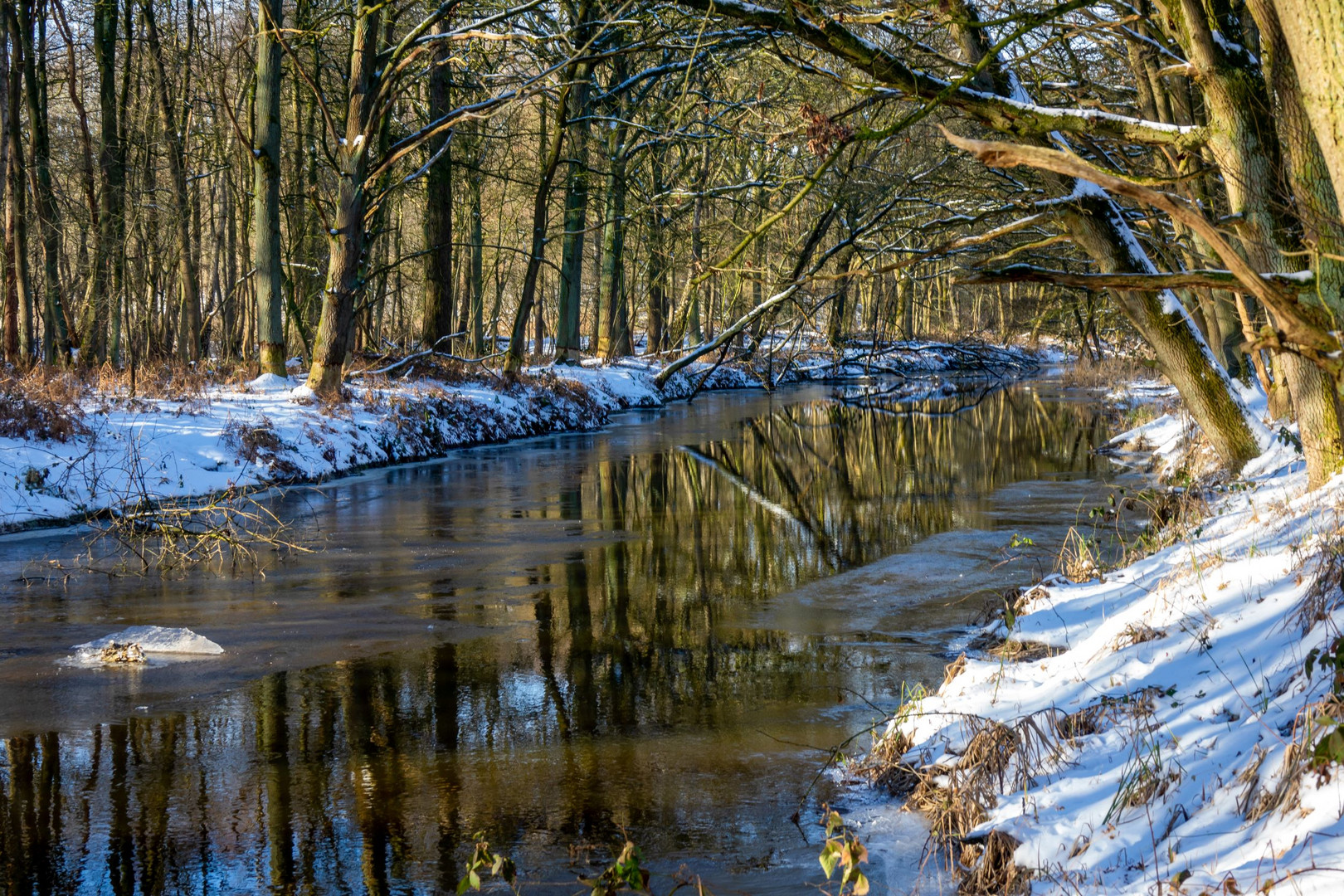 Winter reflections