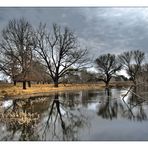 Winter Reflections