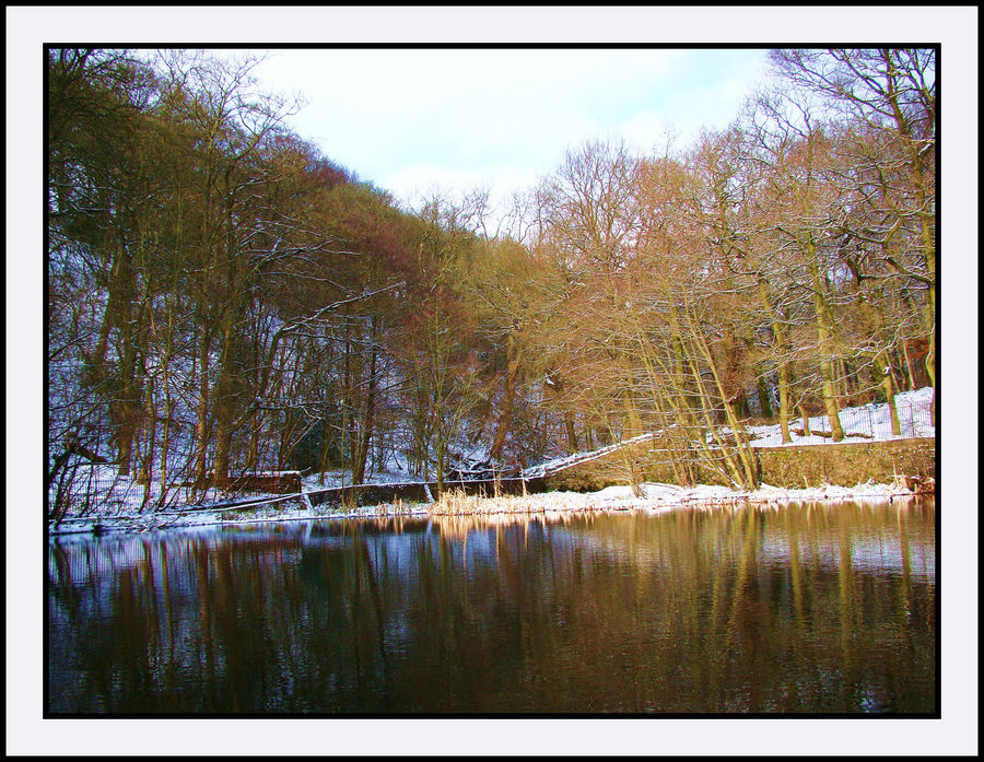 Winter Reflections