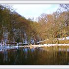 Winter Reflections