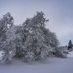 Winter Rhön