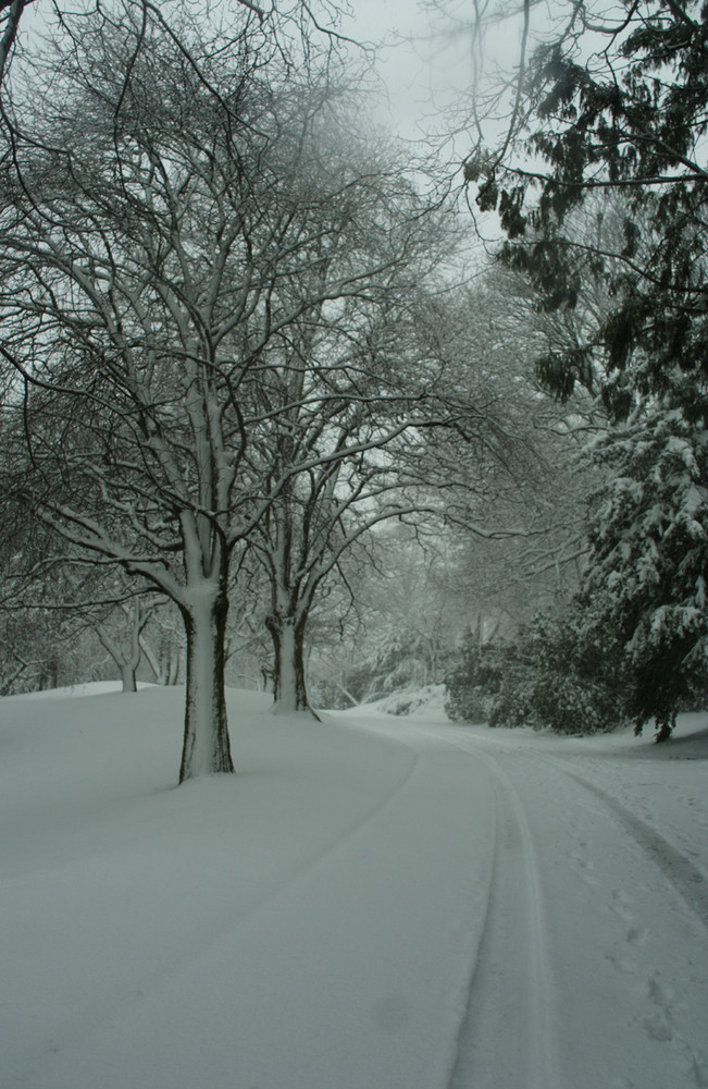 Winter road