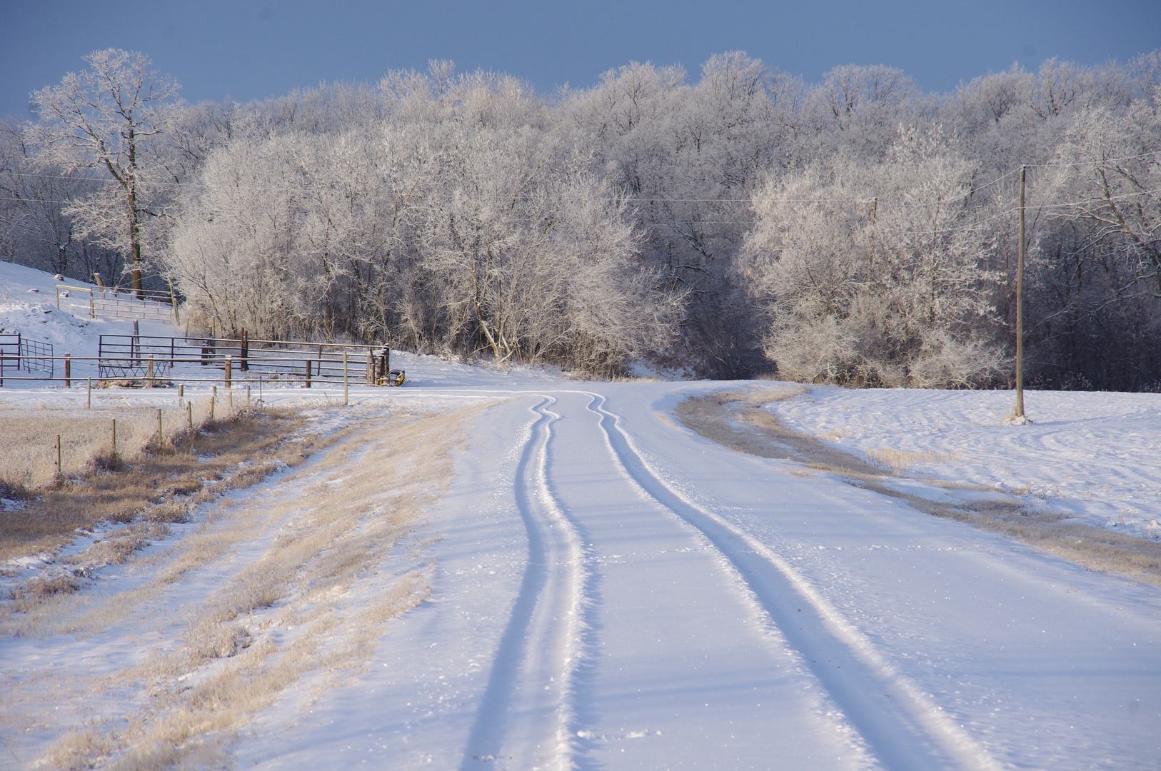 Winter Road