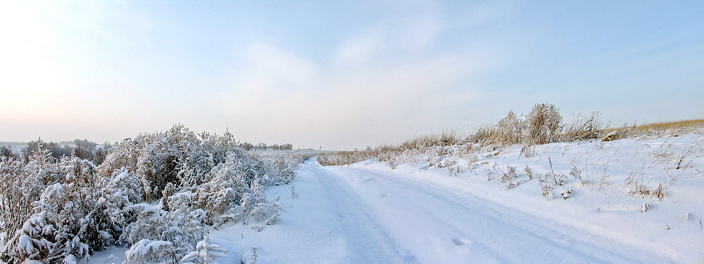 Winter Road