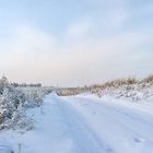 Winter Road