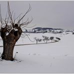 Winter - Rückblick