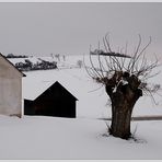 Winter - Rückblick - II -