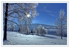 Winter Rückschau I