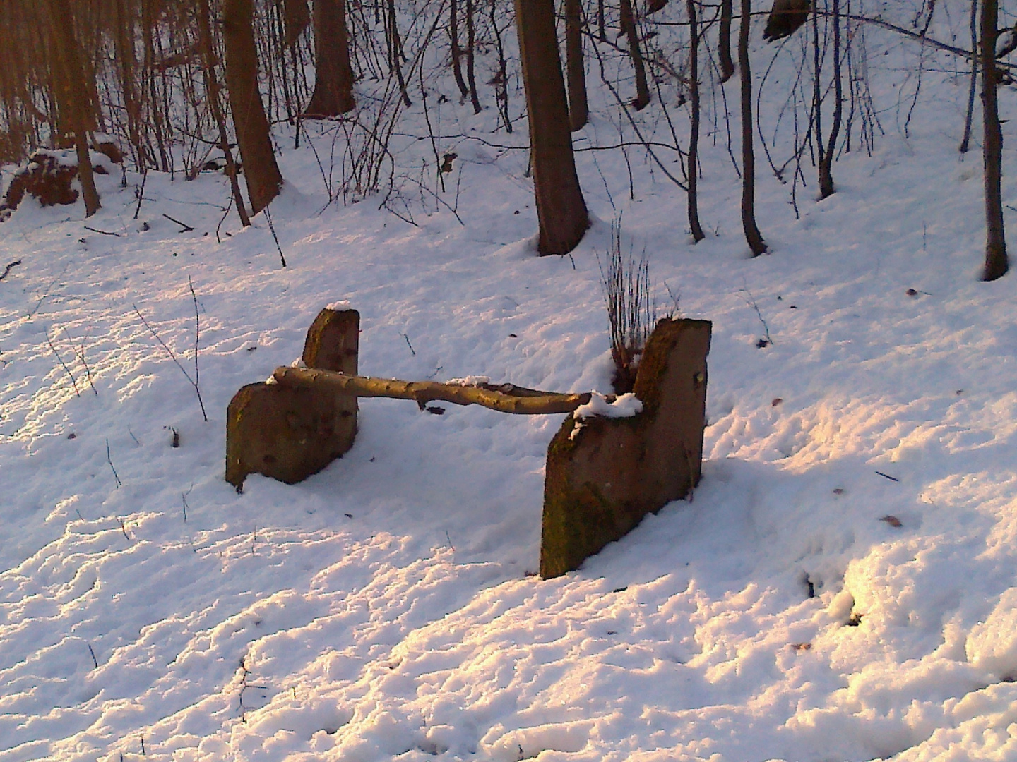 Winter-Ruhe-Bank