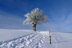 Winter-Ruhe-Zeit