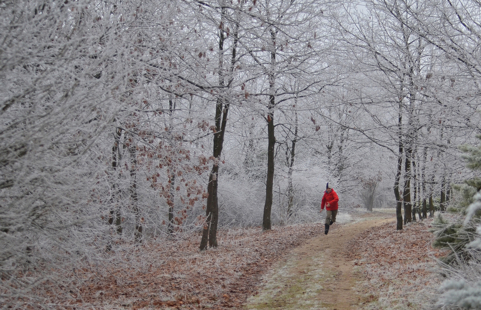 WINTER RUNNING