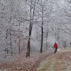 WINTER RUNNING