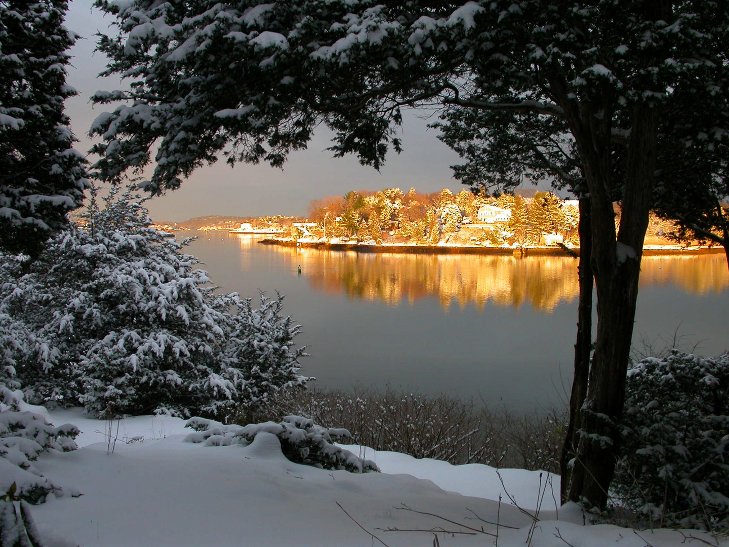 Winter, Rust Island