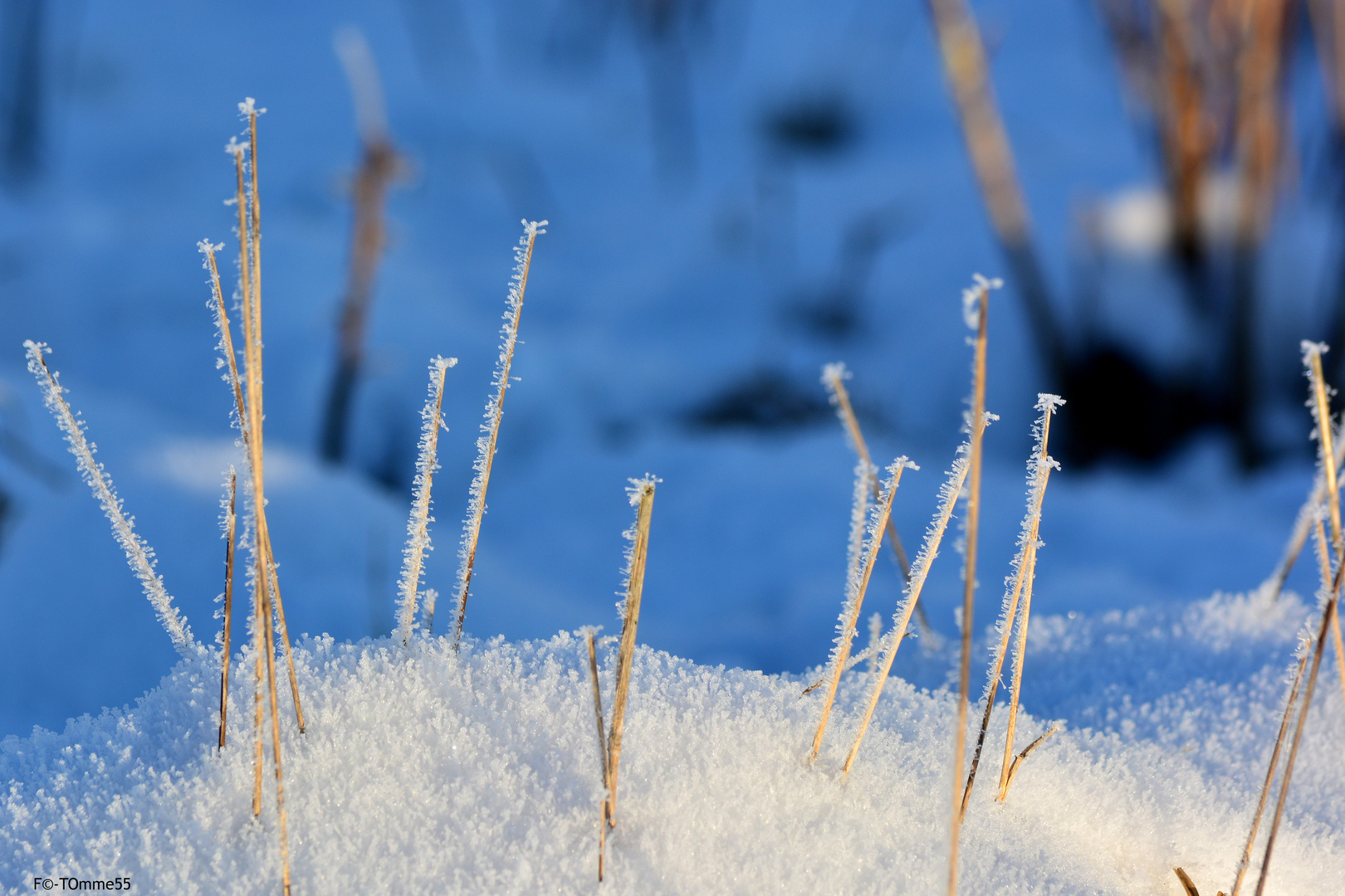 Winter-Salzstangen