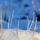 Winter-Salzstangen