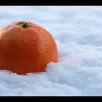 Winter Satsuma