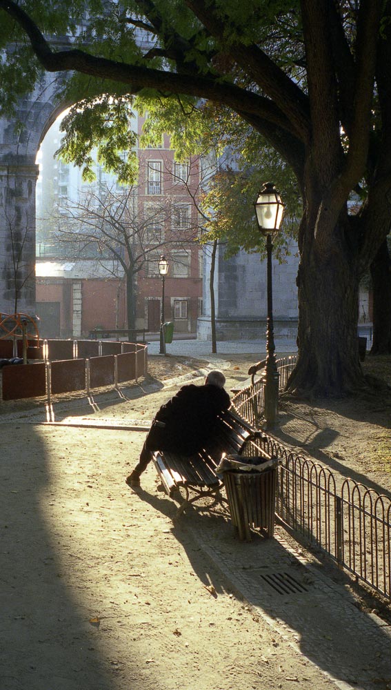 Winter scene in Amoreiras, Lisbon