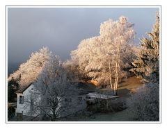 Winter Scenery