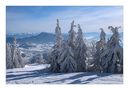 winter scenery von Bergfee 