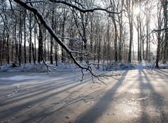 Winter-Schatten