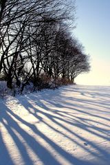 Winter-Schatten