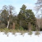 Winter -Schaugärten München