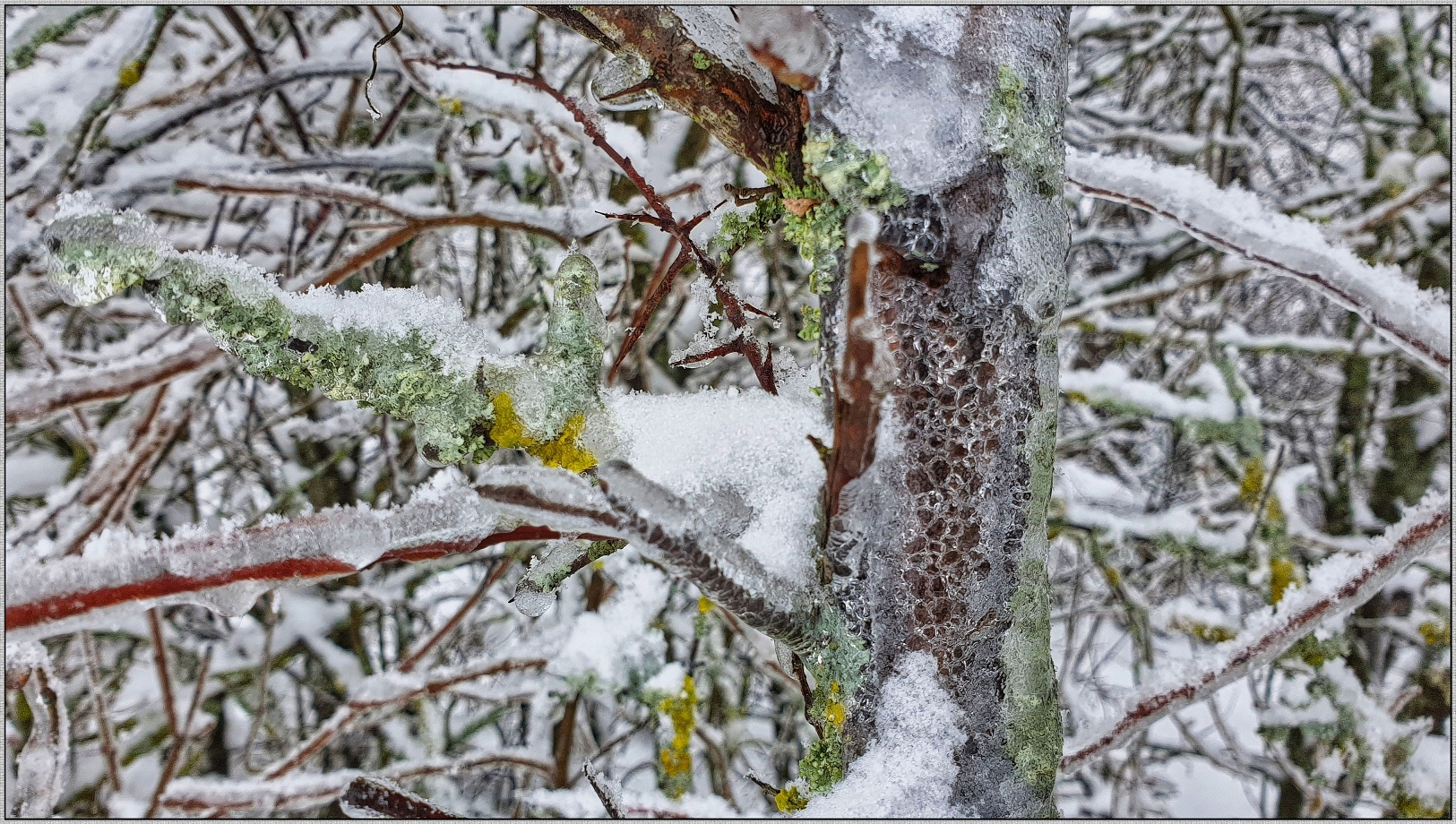 Winter Schnee-Eiszauber Trilogie 1