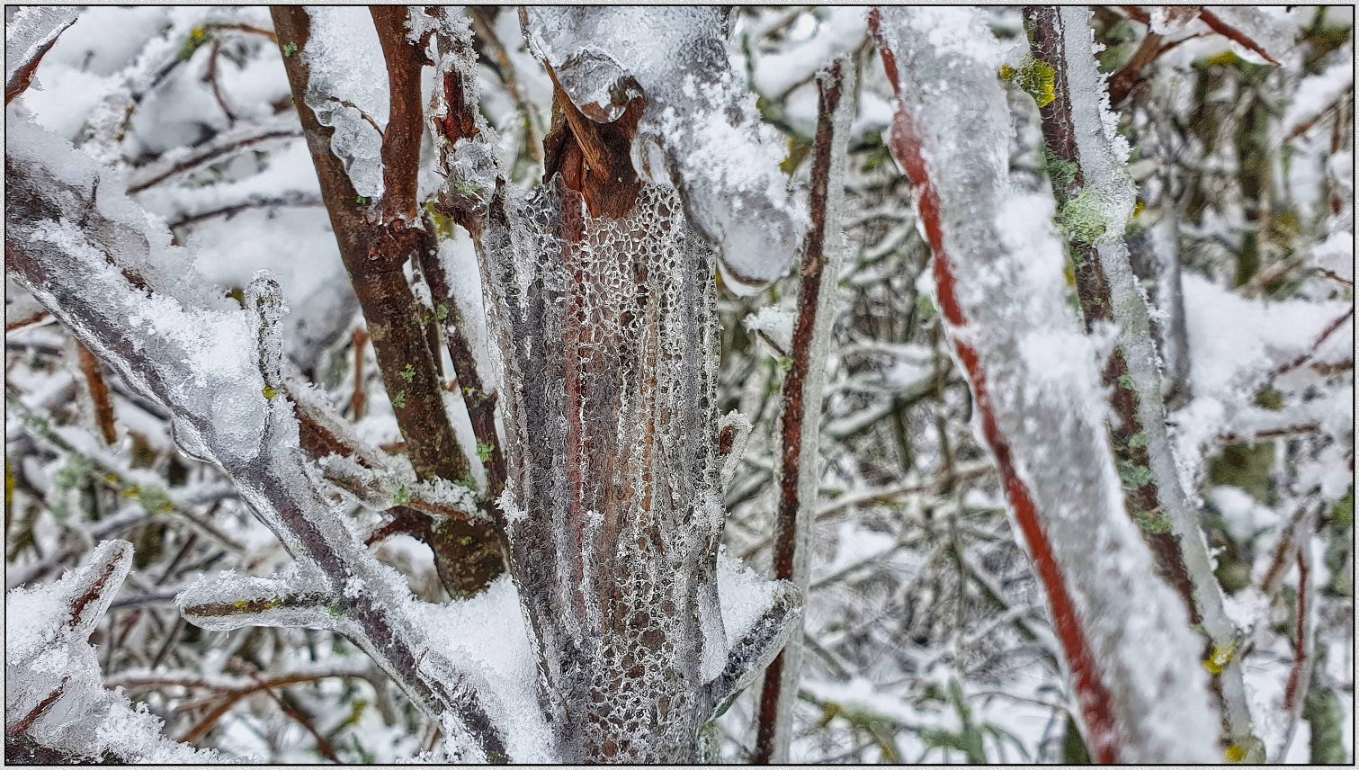 Winter Schnee-Eiszauber Trilogie 2