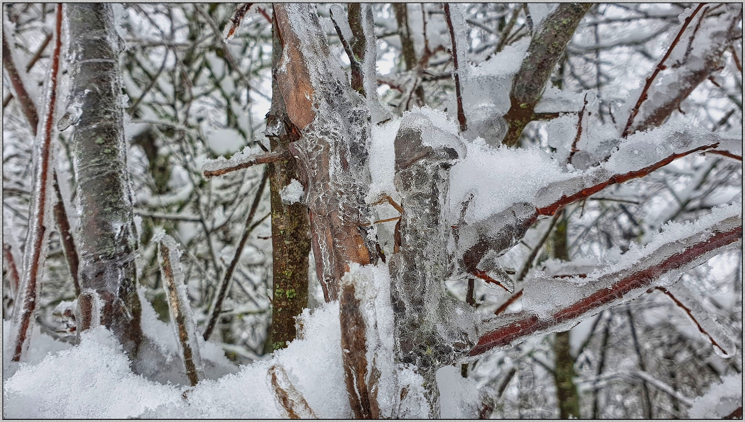 Winter Schnee-Eiszauber Trilogie 3