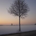 Winter, Schnee & Nebel