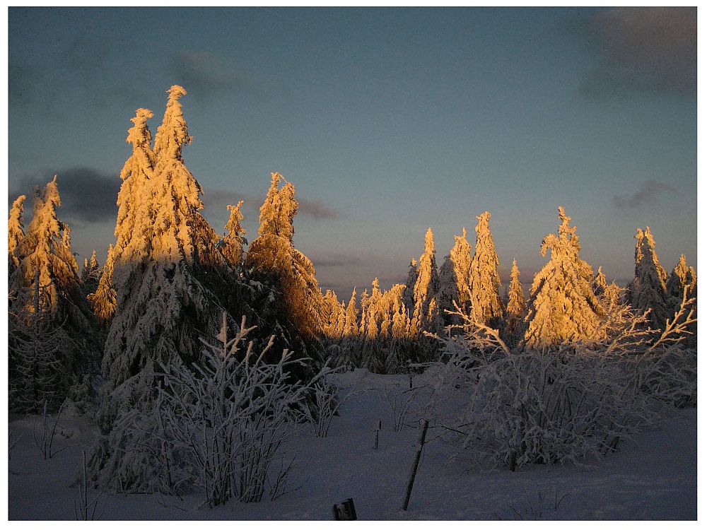 Winter-Schneeberg