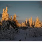 Winter-Schneeberg