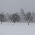 WINTER- SCHNEESTURM/1