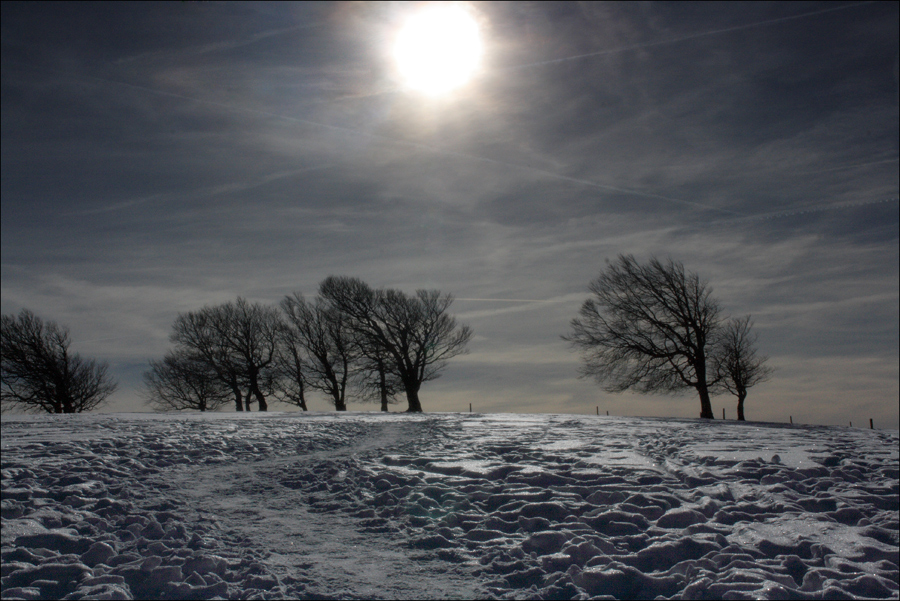 Winter, schon leicht gebraucht, auf dem Schauinsland