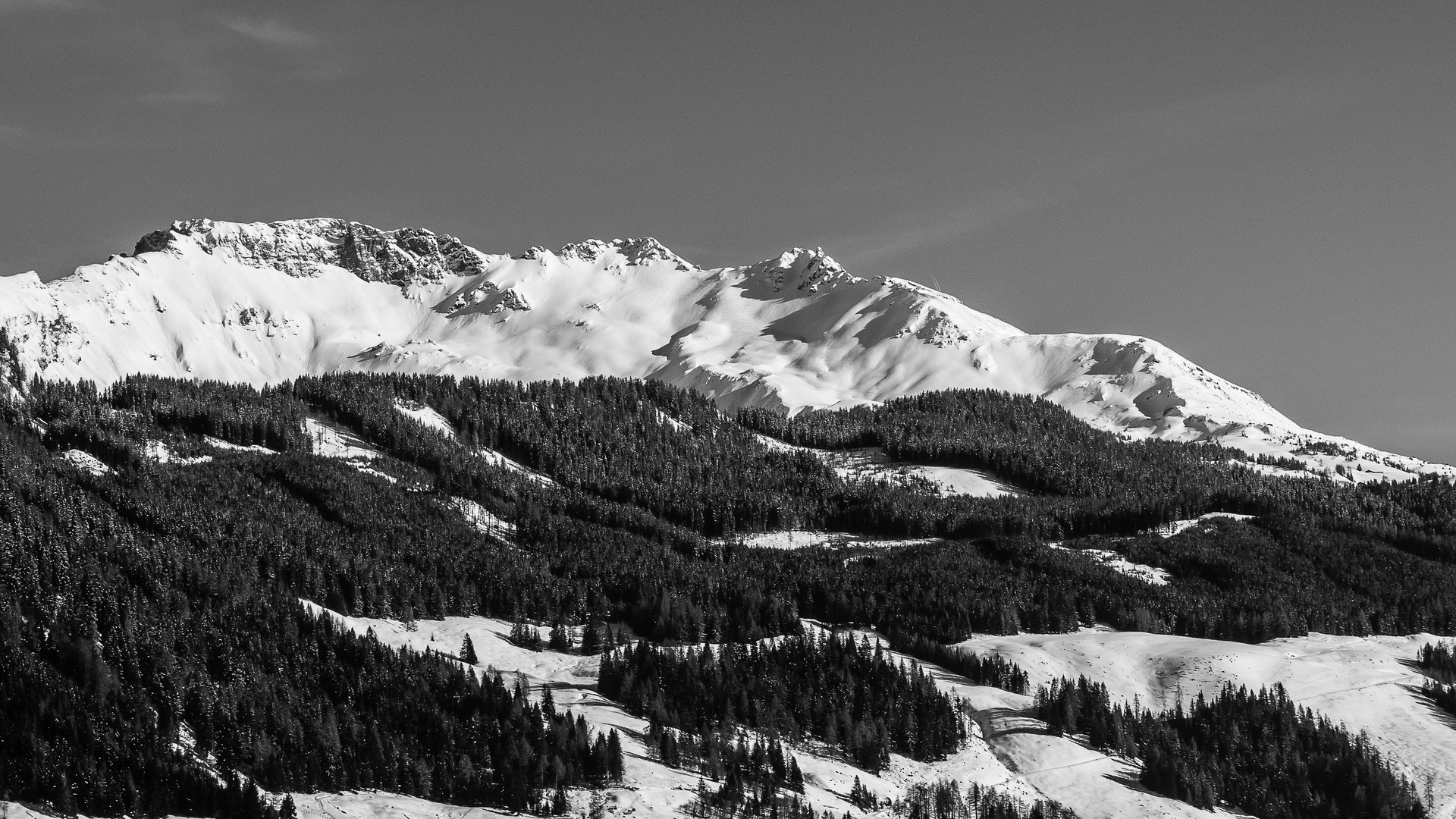 Winter Schwarz / Weiss