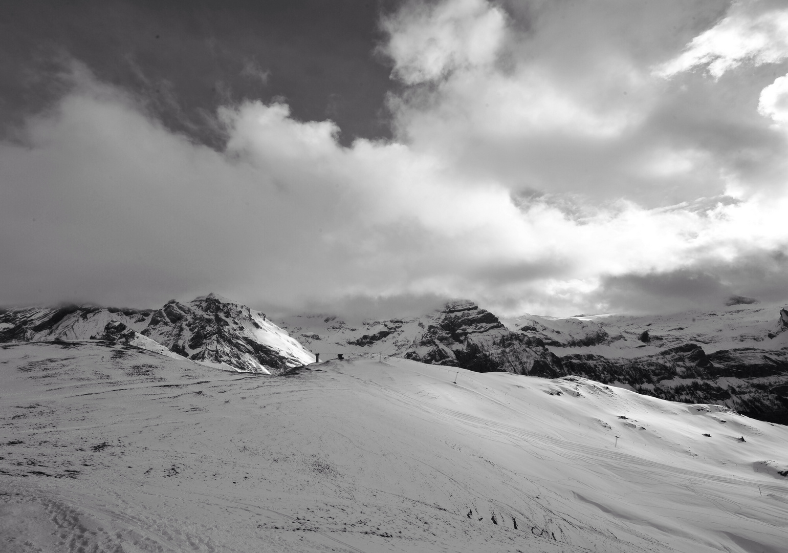 Winter schwarz weiss