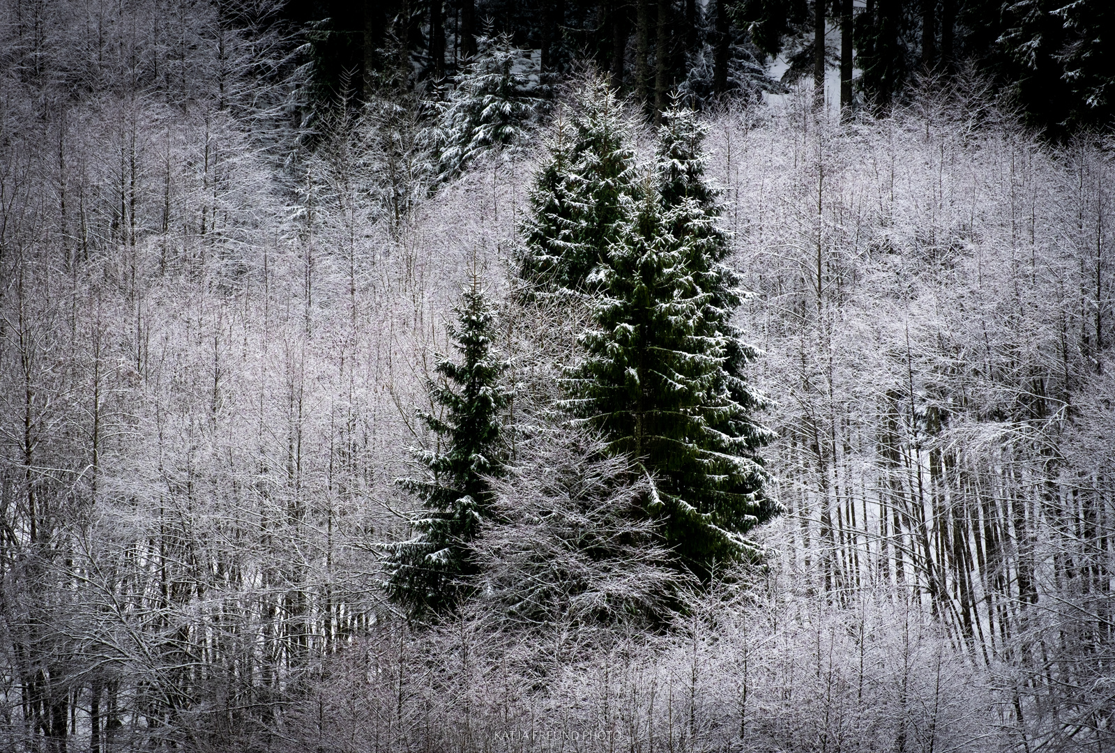 Winter Schwarzenbachtalsperre