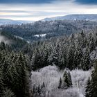 Winter Schwarzenbachtalsperre