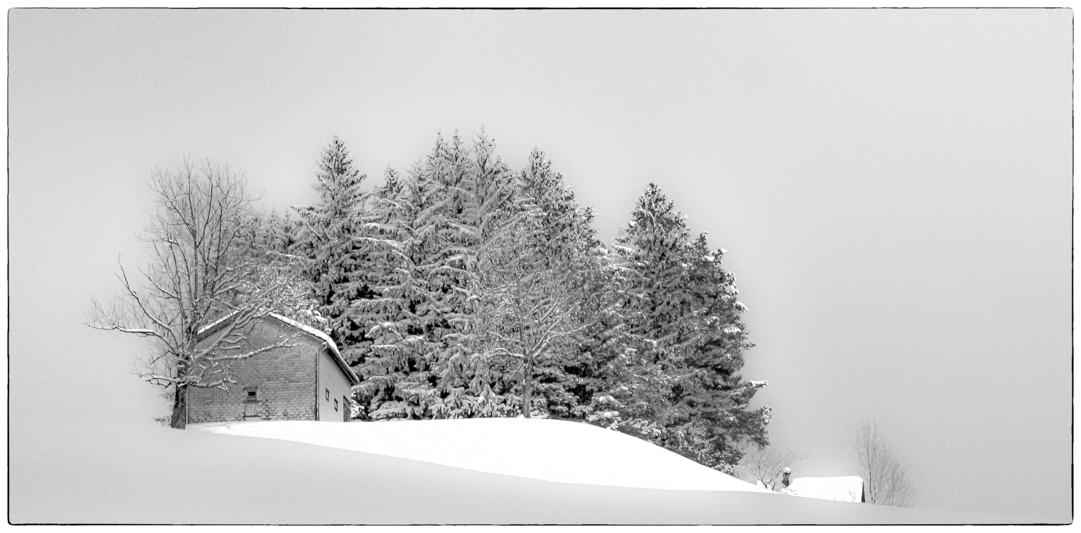 Winter schwarzweiss