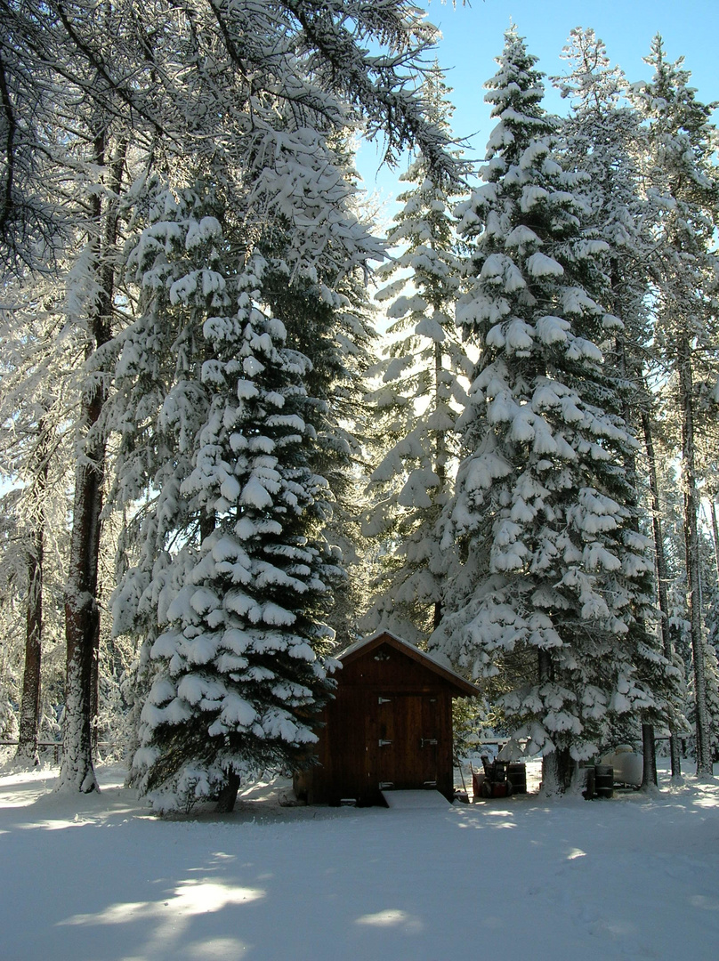 Winter Sentinels