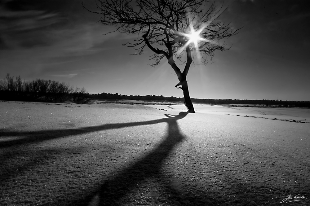 winter shadow