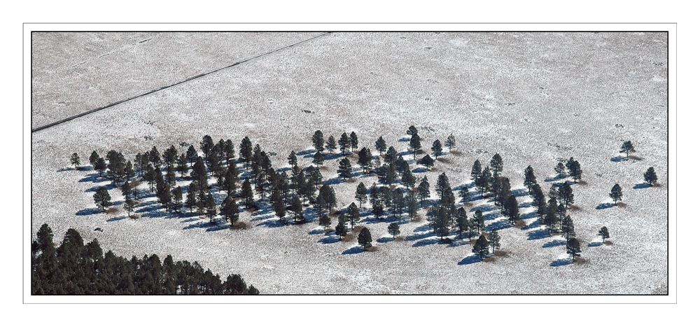 Winter shadows - Winterliche Schatten