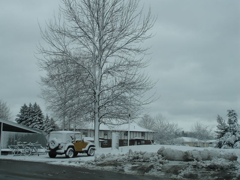 winter shelter